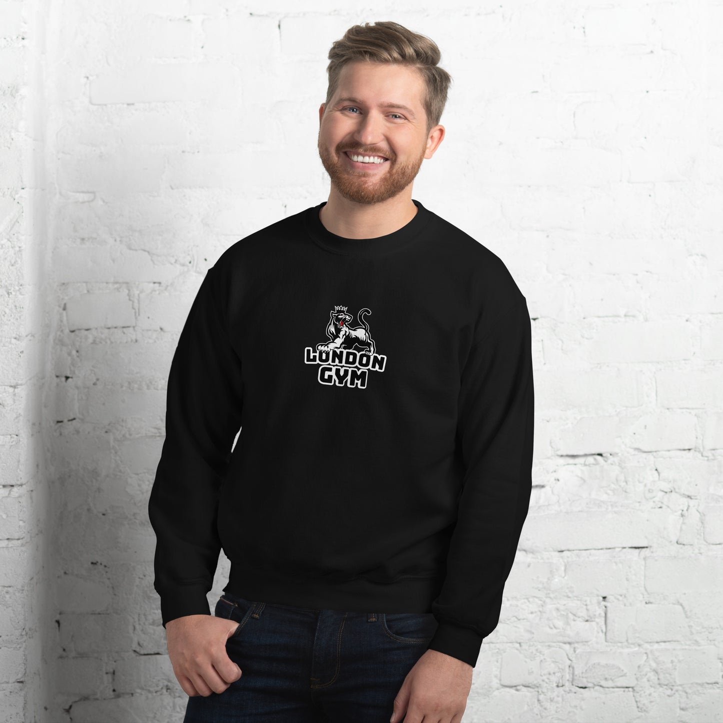 Men Crew Neck Sweatshirt  Colored