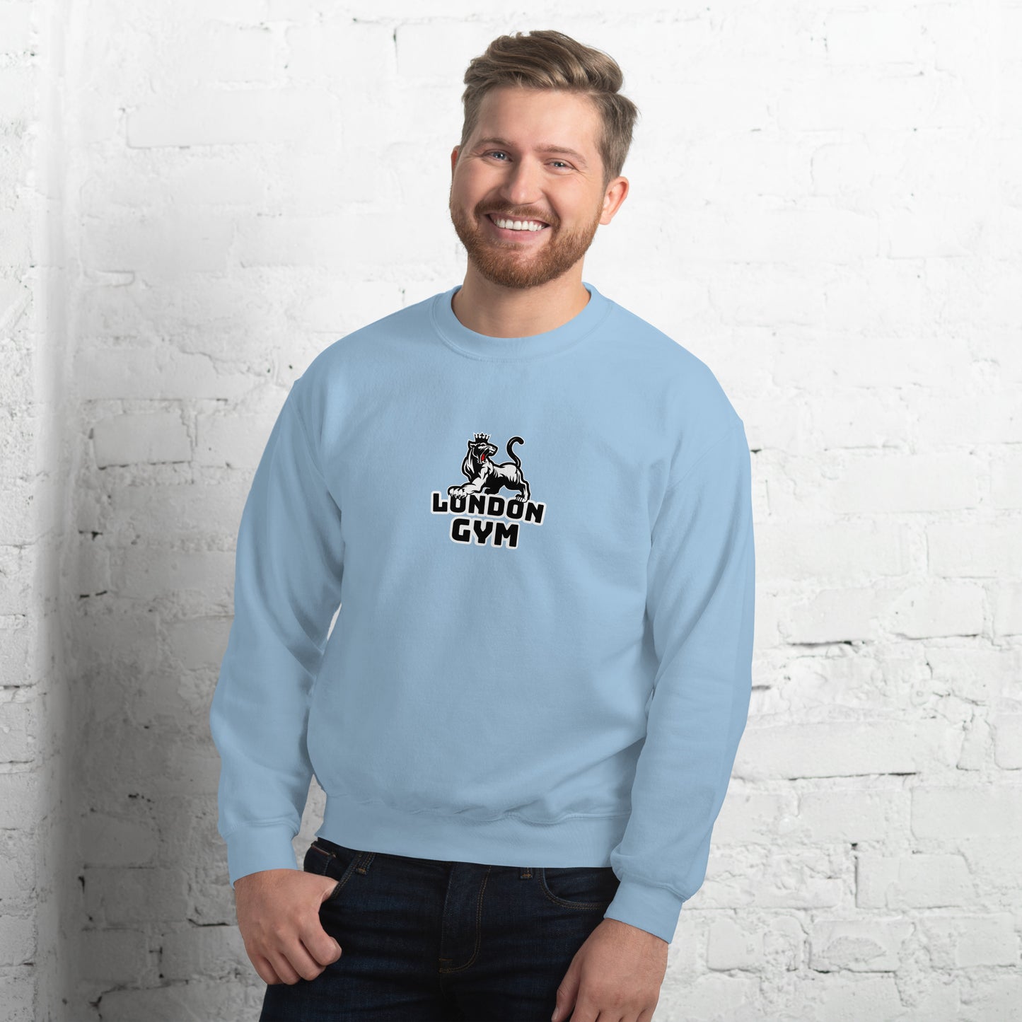 Men Crew Neck Sweatshirt  Colored