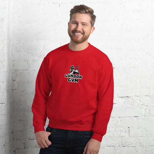 Men Crew Neck Sweatshirt  Colored