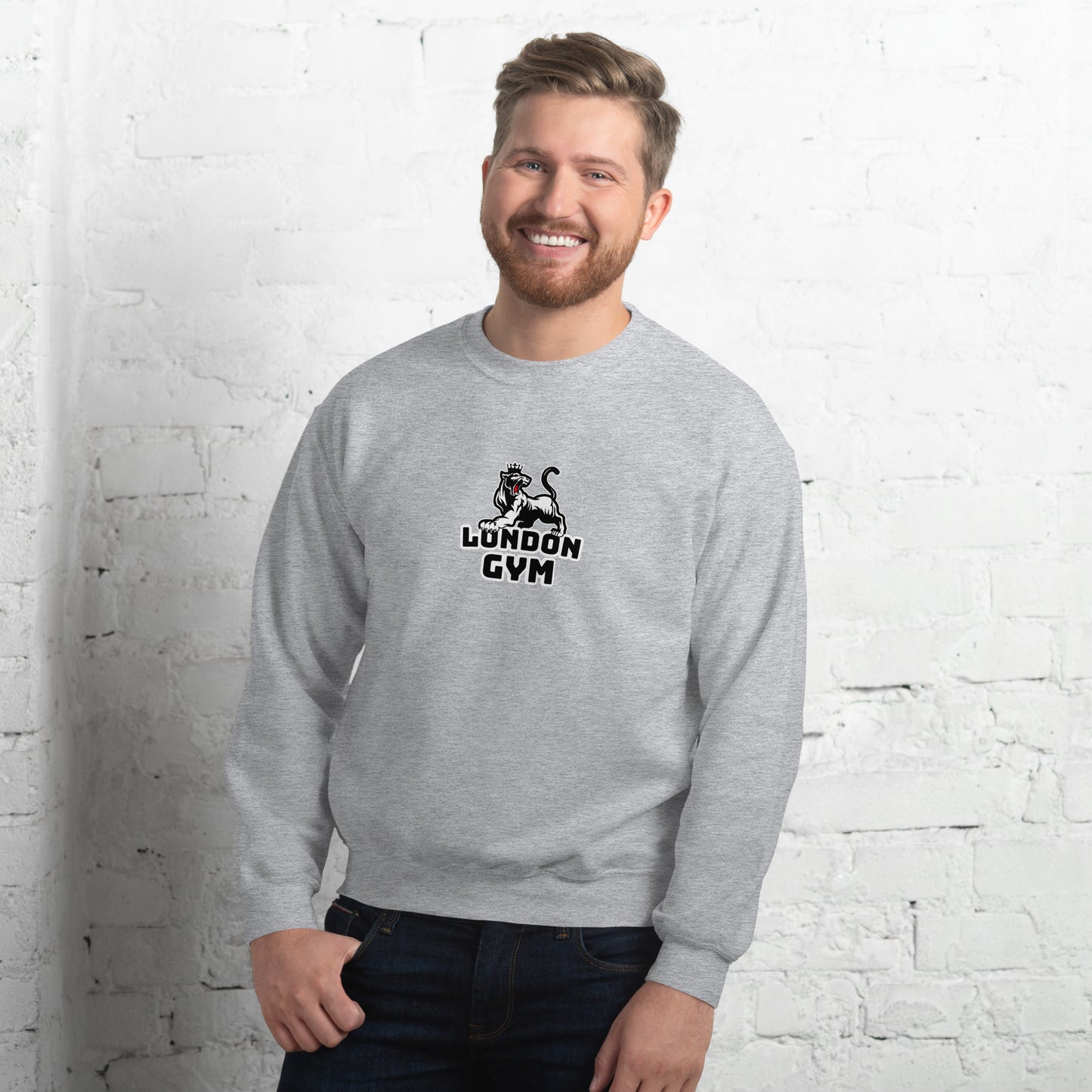 Men Crew Neck Sweatshirt  Colored