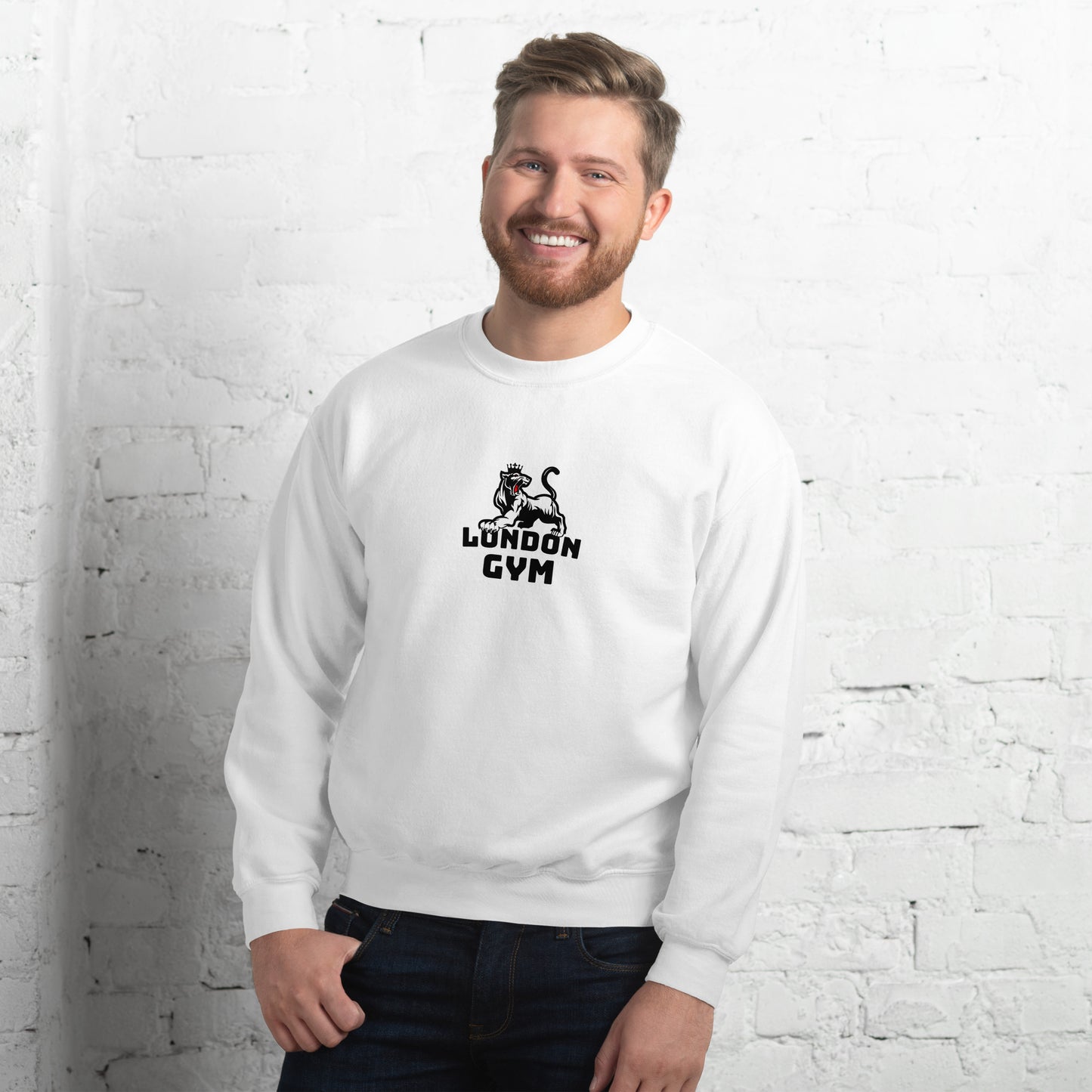 Men Crew Neck Sweatshirt  Colored